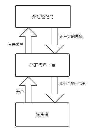 外汇返佣网站